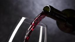 Sturzenegger destacó la resolución del INV para la elaboración de vinos sin alcohol