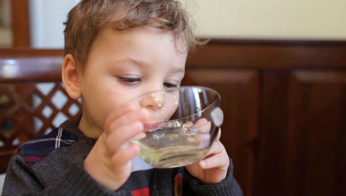 Estas plantas son conocidas desde la antigüedad. Por ejemplo, ya los antiguos egipcios conocían las propiedades digestivas y calmantes de la manzanilla, por eso la llamaron la “hierba del Sol”. Era también un remedio habitual de los griegos y los romanos. Estas plantas son conocidas desde la antigüedad. Por ejemplo, ya los antiguos egipcios conocían las propiedades digestivas y calmantes de la manzanilla, por eso la llamaron la “hierba del Sol”. Era también un remedio habitual de los griegos y los romanos.