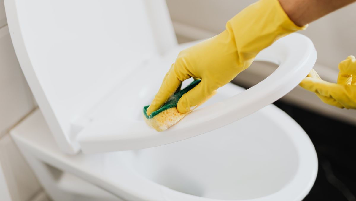 Cómo eliminar el olor a pis del baño y dejarlo impecable en pocos minutos