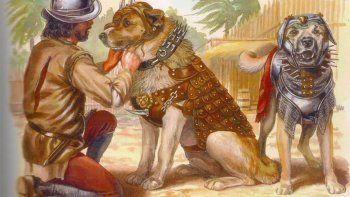 Los colonizadores europeos también exterminaron a la población canina