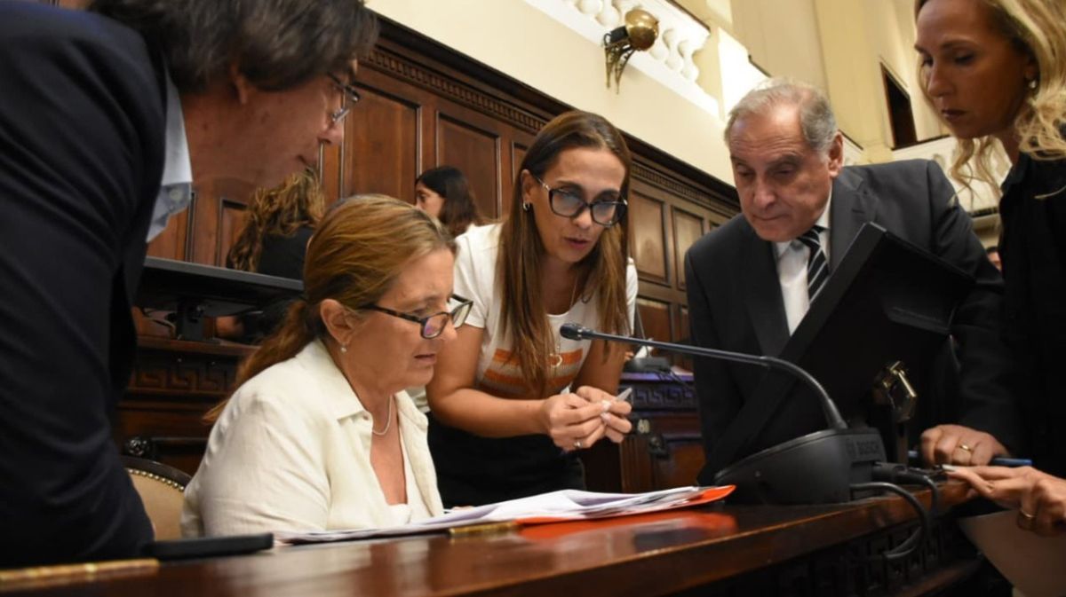 Los senadores mendocinos durante la sesión de este martes. Los senadores mendocinos durante la sesión de este martes.