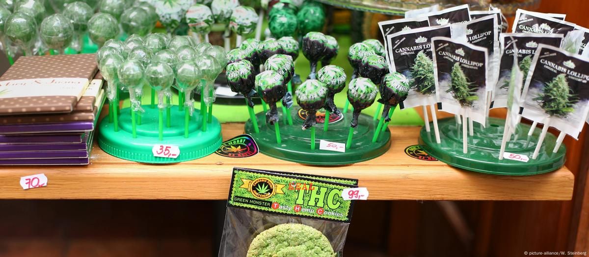 El descubrimiento determinó que comer marihuana es igual de peligroso. El descubrimiento determinó que comer marihuana es igual de peligroso.