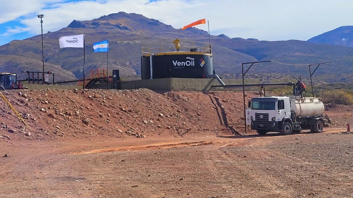 Radiografía del bloque petrolero que YPF quiere dejar en manos de un mendocino