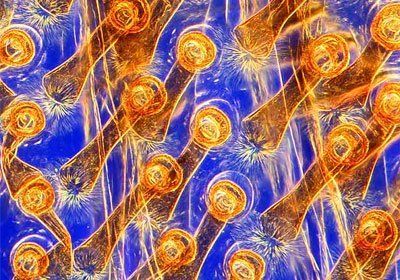 Bellísimas fotos de la ciencia