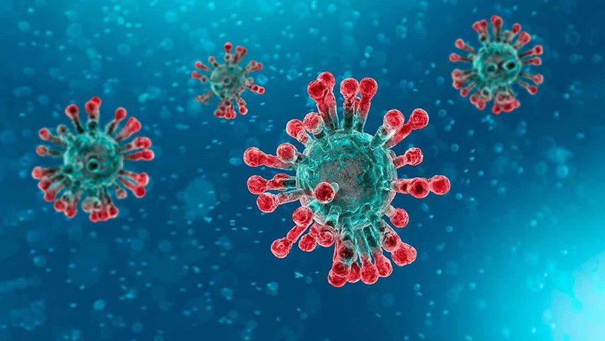 Coronavirus: descubrieron cómo destruirlo para evitar que se reproduzca en los pulmones
