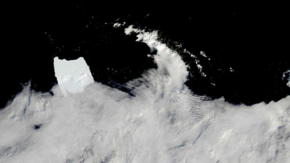 Imágenes satelitales de la NASA del iceberg A23a.
