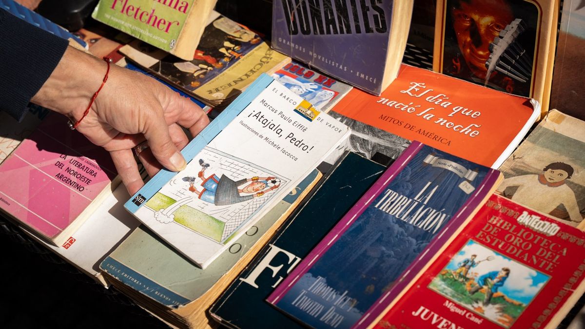 Su puesto de la Plaza Italia, donde vende algunos libros. Pero también escribe dos libros. Ambos proyectos están en proceso, uno más avanzado que el otro. Su puesto de la Plaza Italia, donde vende algunos libros. Pero también escribe dos libros. Ambos proyectos están en proceso, uno más avanzado que el otro.