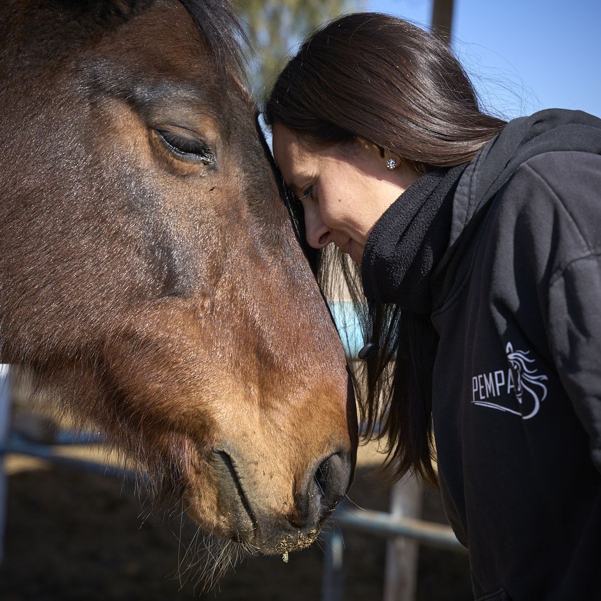 A pesar del terror que les tenía antes, desde que se acercó a los caballos comprendió que son seres especiales. Aquí Yésica con Tornado. A pesar del terror que les tenía antes, desde que se acercó a los caballos comprendió que son seres especiales. Aquí Yésica con Tornado.
