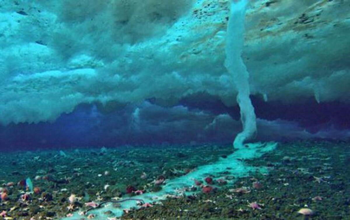 El fenómeno fue capturado en time-lapse por Hugh Miller y Doug Anderson El fenómeno fue capturado en time-lapse por Hugh Miller y Doug Anderson 