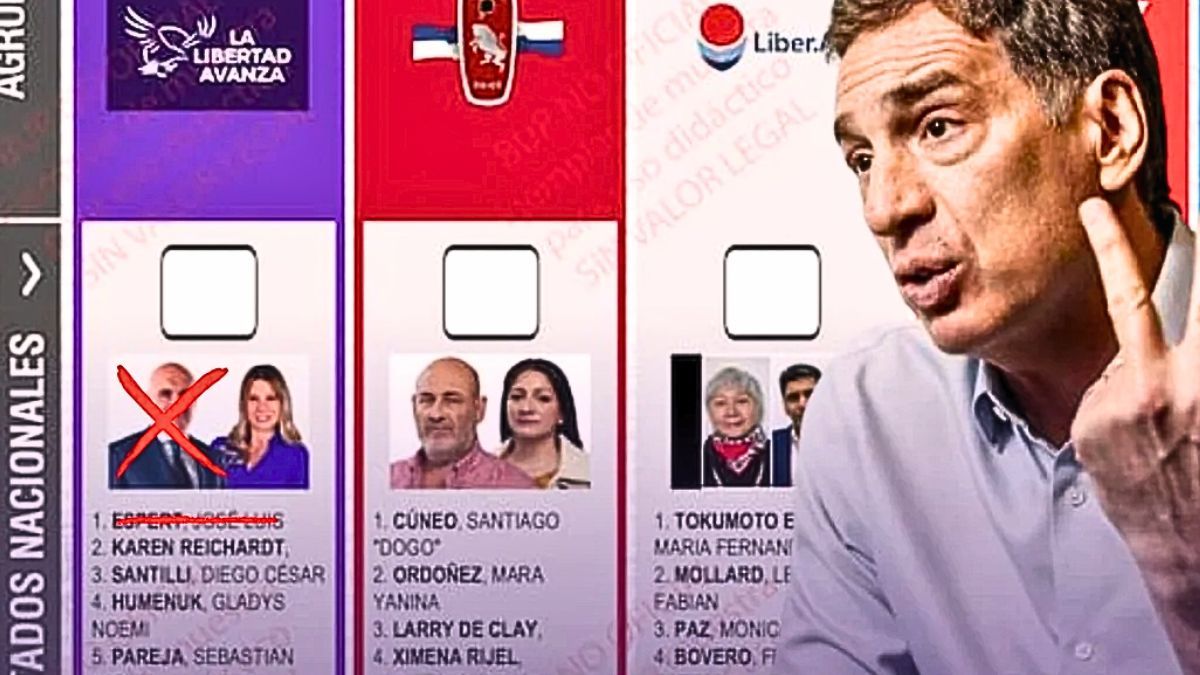 Elecciones. La Libertad Avanza pide cambios en en la boleta para que Diego Santilli pase al primer lugar. (Imagen: Noticias Argentinas)