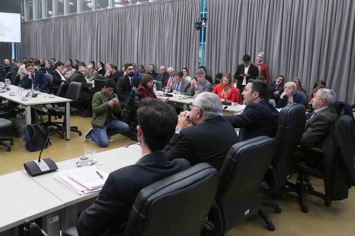 Luisa Petri dio explicaciones en la Cámara de Diputados. Luisa Petri dio explicaciones en la Cámara de Diputados.