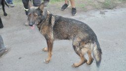 La familia de las israelíes le dará la recompensa a Ruca