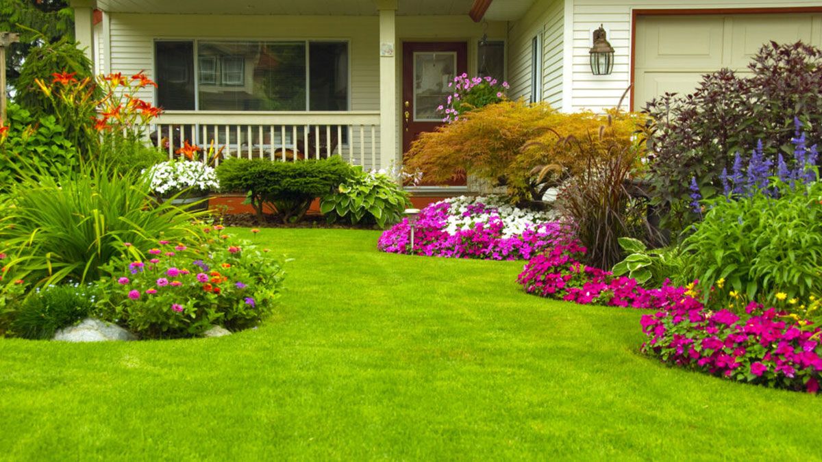 El suelo es la base del jardín.