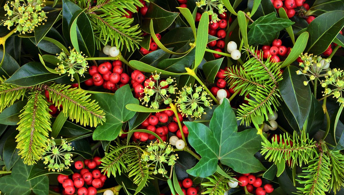 El rojo y el verde tienen diferentes interpretaciones festivas. El rojo y el verde tienen diferentes interpretaciones festivas. 