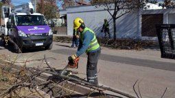 Guaymallén dio a conocer los lugares en los que seguirá el operativo de poda