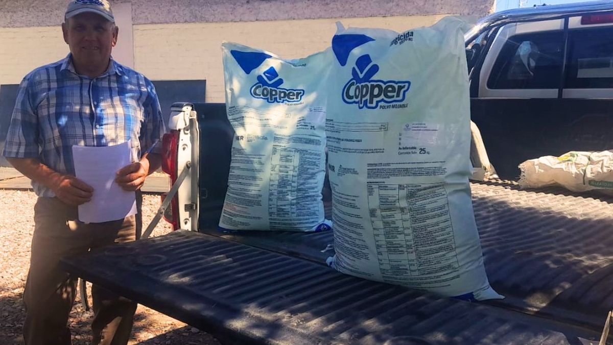 El Iscamen llama a licitación pública para comprar más oxicloruro de cobre para repartir entre productores afectados por tormentas. El Iscamen llama a licitación pública para comprar más oxicloruro de cobre para repartir entre productores afectados por tormentas.