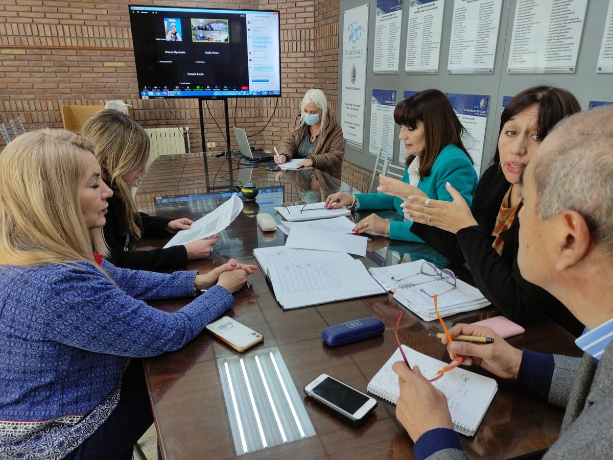 La reunión de la comisión de Cultura de Diputados en la que se dio despacho favorable para el homenaje a Cora Teijeiro.