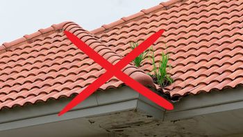 Adiós a las clásicas tejas del techo: la tendencia europea que promete imponerse como una opción sostenible Adiós a las clásicas tejas del techo: la tendencia europea que promete imponerse como una opción sostenible