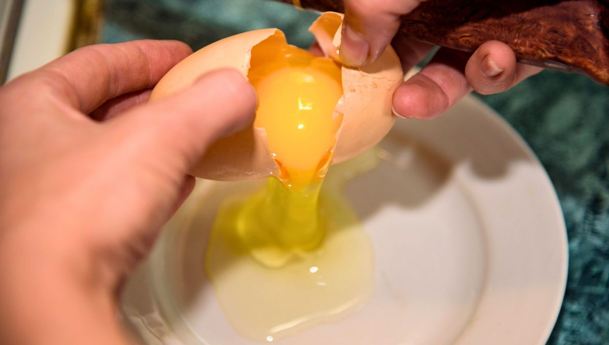 Un huevo de doble yema, espiritualmente se relaciona con la buena fortuna. Un huevo de doble yema, espiritualmente se relaciona con la buena fortuna. 