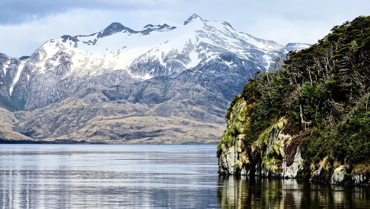 El descubrimiento en cuestión se produjo en el Estrecho de Magallanes