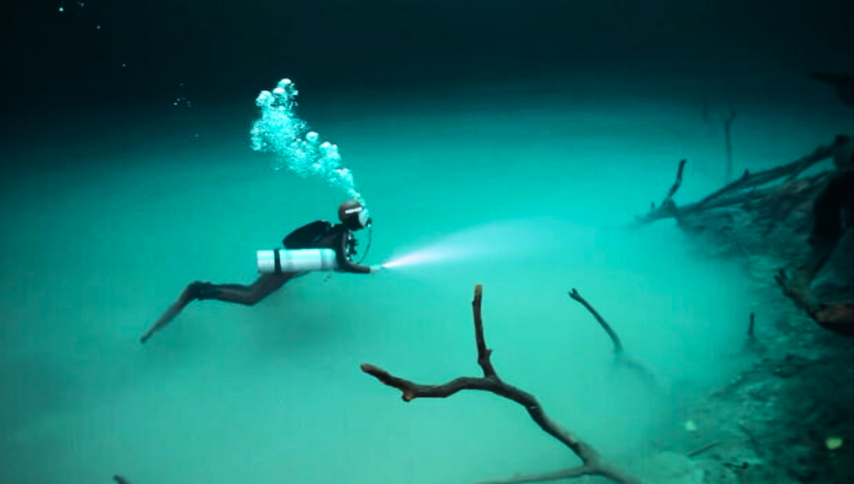 Los científicos concluyeron que este descubrimiento se realizó a 1700 metros