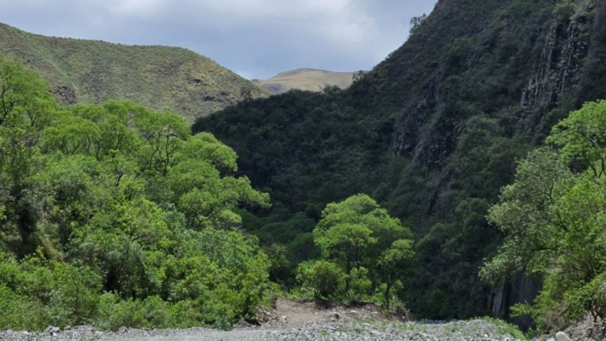 (Foto: Natalia Mazzei) (Foto: Natalia Mazzei)