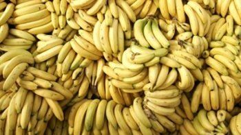Las bananas en peligro de extinción