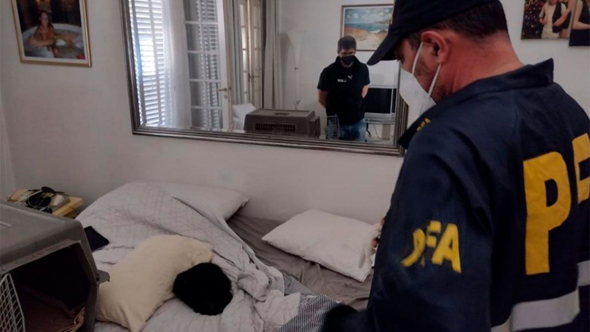 Desactivaron una fiesta clandestina con drogas y un mono encerrado