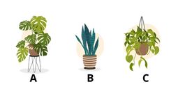 Test de personalidad: elige una planta y descubre en qué etapa de su vida se encuentra