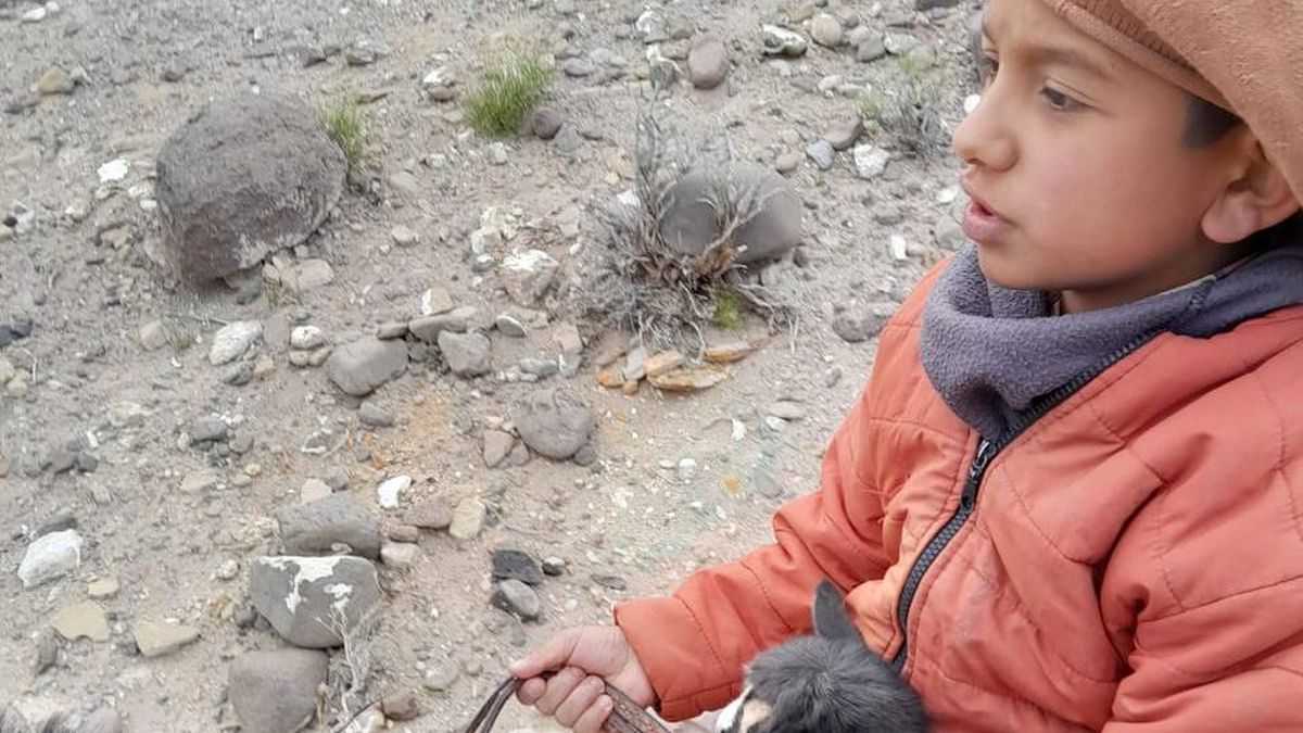 Ir abrigado y a caballo, parte de la rutina de Ihan. Ir abrigado y a caballo, parte de la rutina de Ihan.