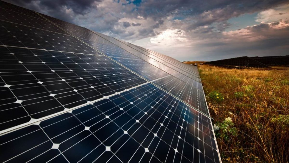 Paneles Solares