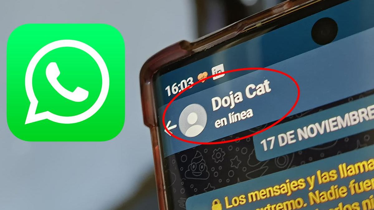 Whatsapp Cómo Saber Si Un Contacto Está En Línea Sin Entrar A La Aplicación 0339