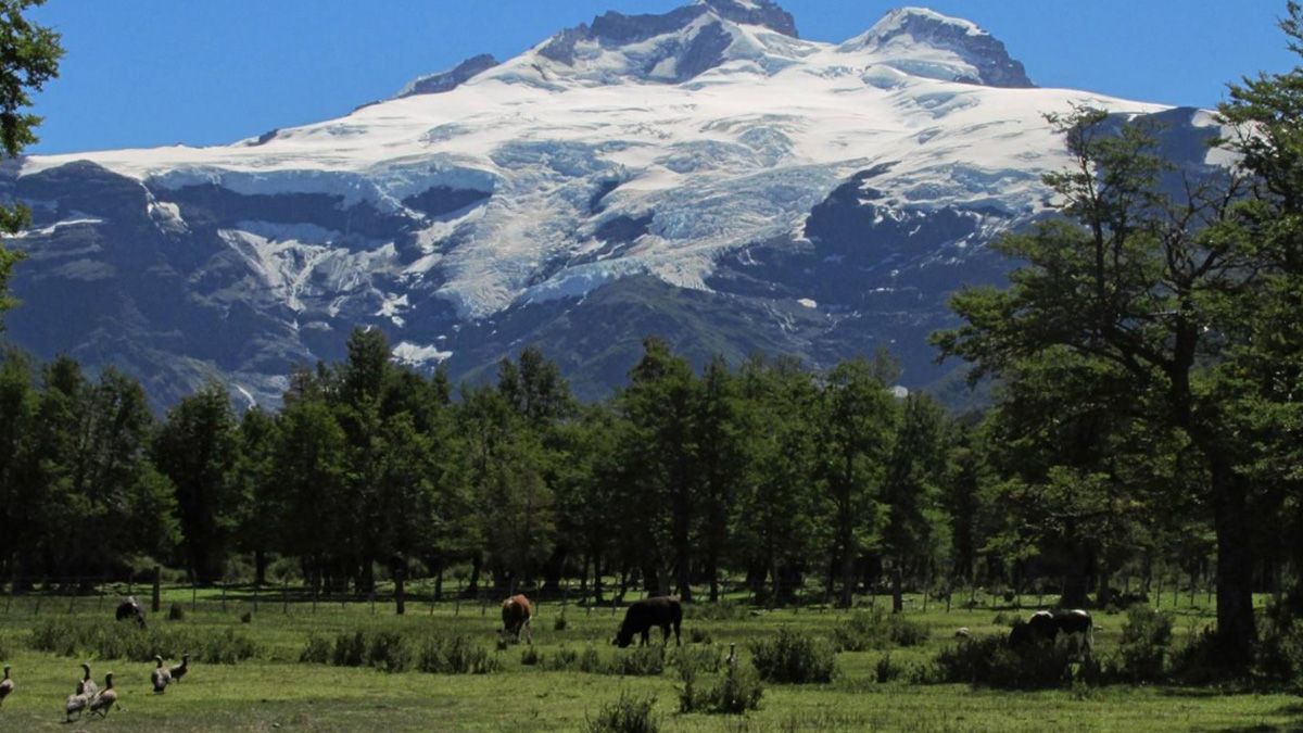 Un sendero se destaca por su paisaje increíble y su belleza natural en el Parque Nacional Nacional Nahuel Huapi Un sendero se destaca por su paisaje increíble y su belleza natural en el Parque Nacional Nacional Nahuel Huapi