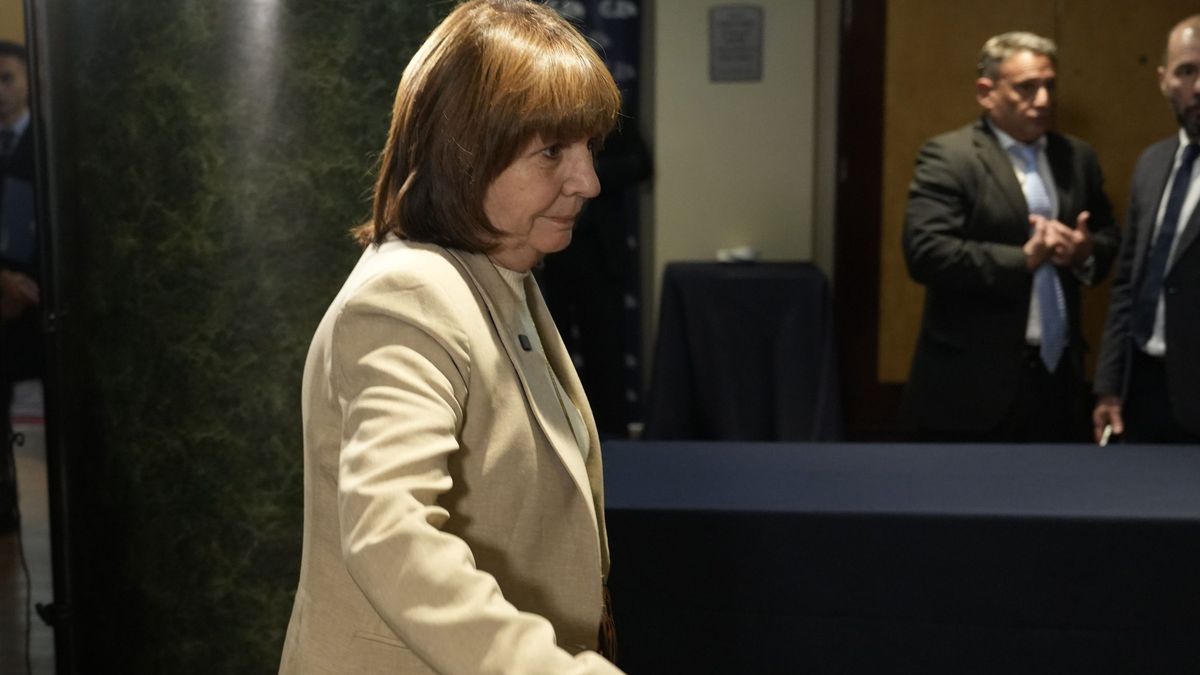 La ministra de Seguridad, Patricia Bullrich. La ministra de Seguridad, Patricia Bullrich.