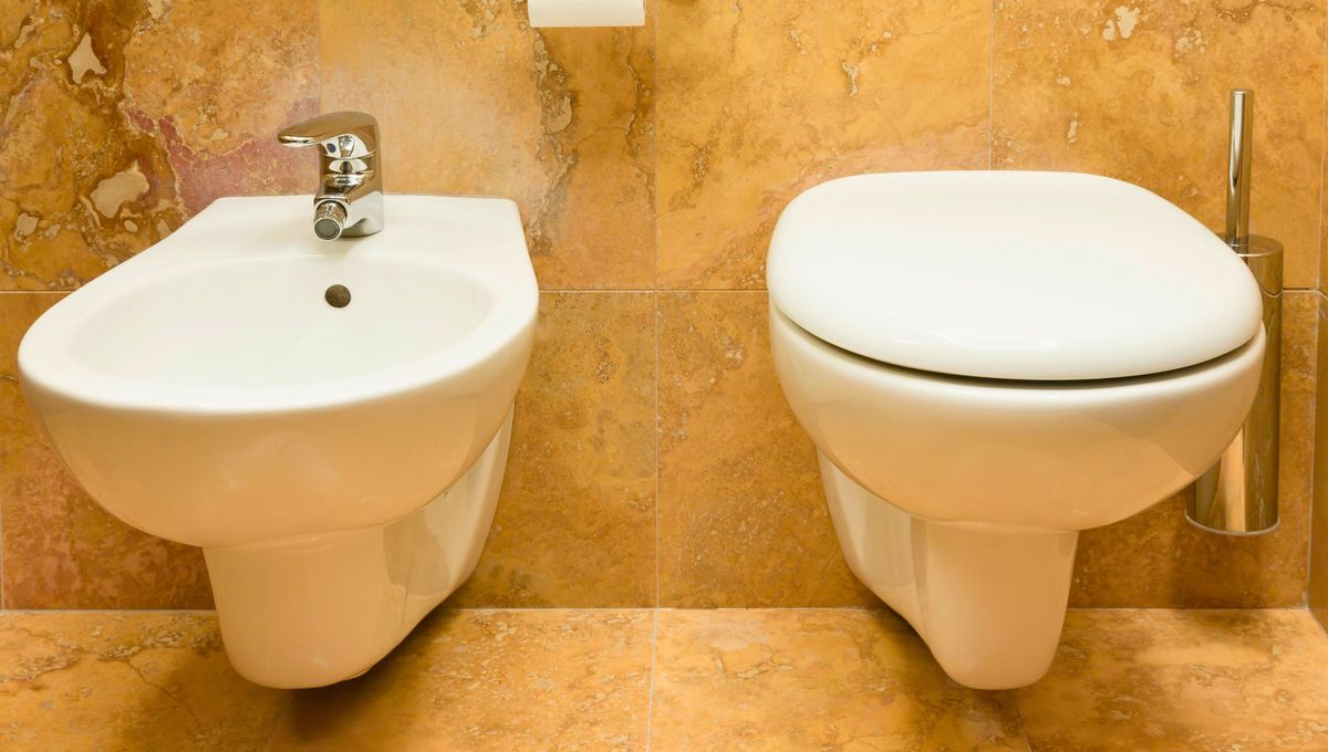 Un DIY para cubrir y decorar la tapa del inodoro y el bidet. Un DIY para cubrir y decorar la tapa del inodoro y el bidet. 