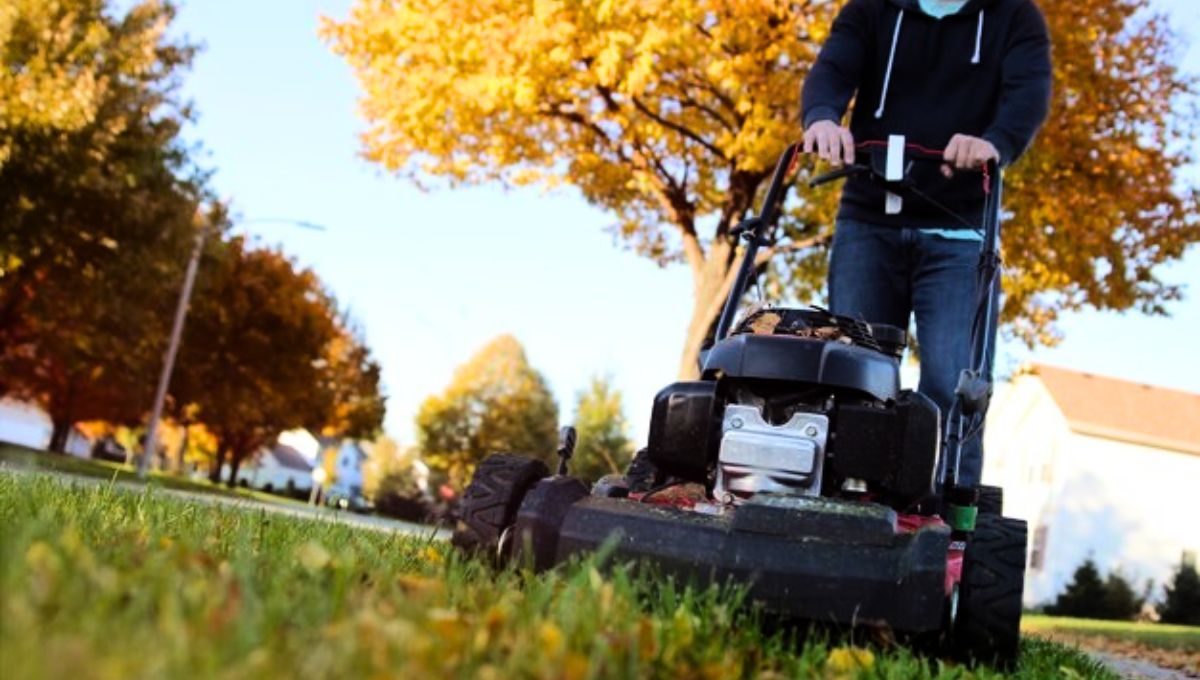 La frecuencia del corte de césped debe ser disminuída en otoño