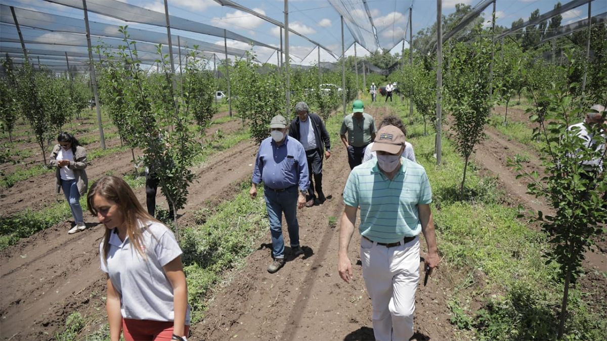 Productores mendocinos mostraron sus inverciones a miembros del BID.