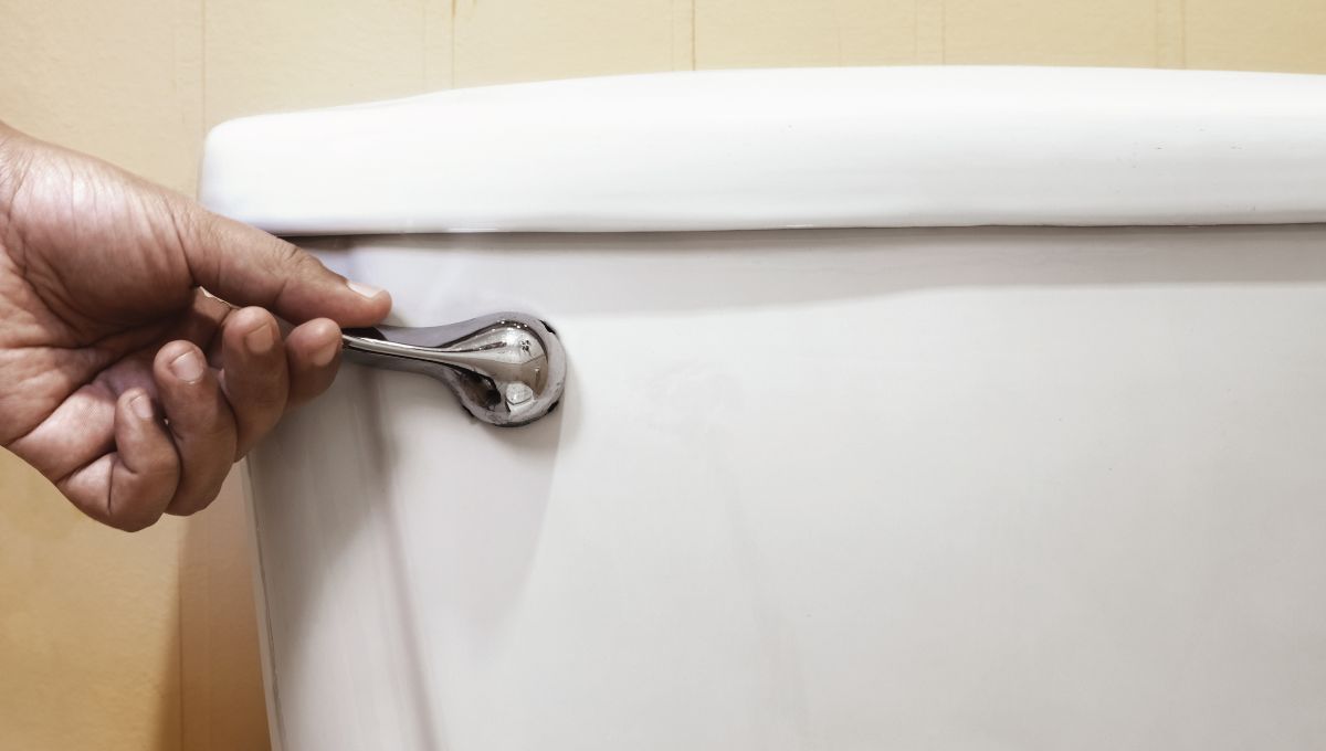 El tanque del inodoro puede limpiarse con un poco de vinagre. El tanque del inodoro puede limpiarse con un poco de vinagre.