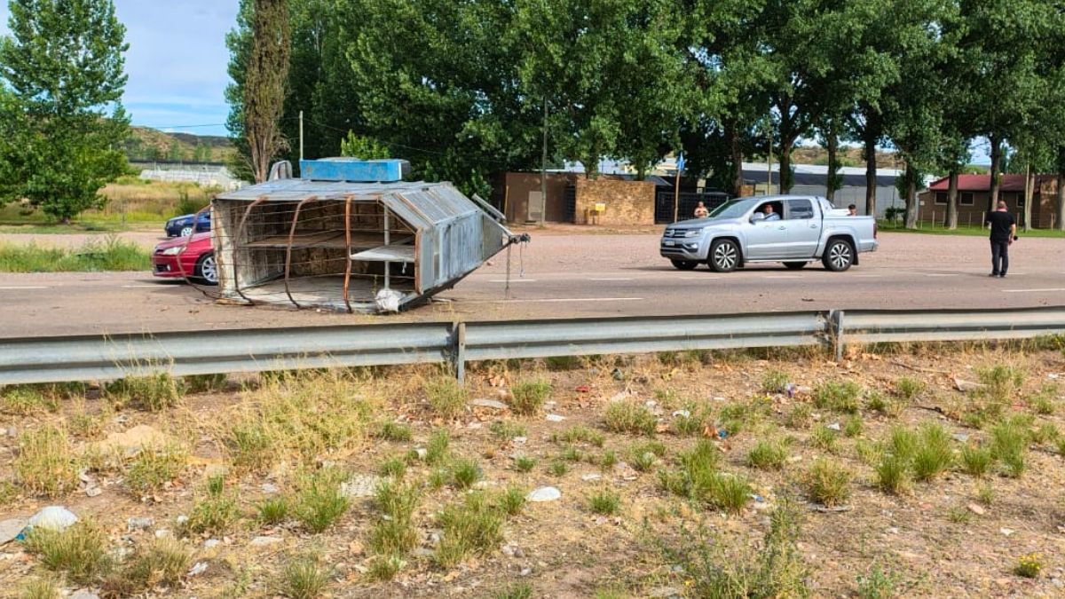 Dos hombres quedaron internados en grave estado tras un accidente vial con caballos en Luján de Cuyo