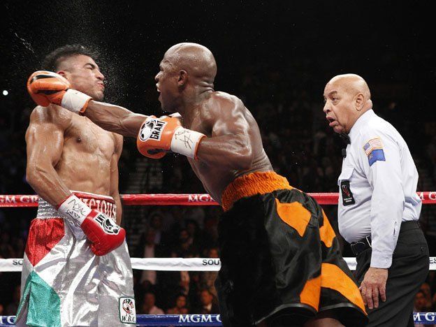 Los deportes de contacto son objeto de estudio desde hace un siglo, y el daño que causan está documentado. Los deportes de contacto son objeto de estudio desde hace un siglo, y el daño que causan está documentado.