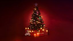 ¿Dónde hay que colocar el árbol de Navidad según el Feng Shui?