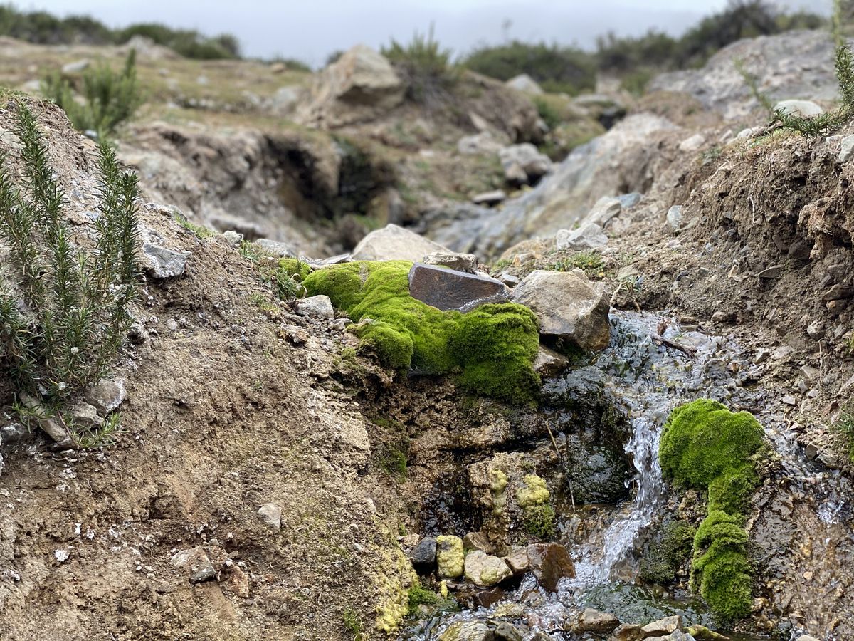 La Reserva Natural Villavicencio pone en valor el papel que cumplen los humedales en la regulación del equilibrio hídrico y la preservación de la biodiversidad.