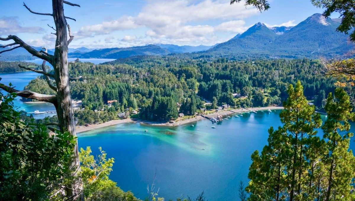 La Ruta de los 7 Lagos es un recorrido que te llevará a través de paisajes impresionantes y te permitirá sumergirte en la naturaleza de la Patagonia argentina. La Ruta de los 7 Lagos es un recorrido que te llevará a través de paisajes impresionantes y te permitirá sumergirte en la naturaleza de la Patagonia argentina.