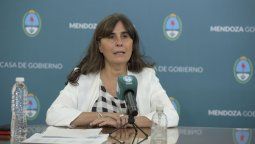 Coronavirus: cómo se prepara Mendoza para evitar un colapso del sistema sanitario