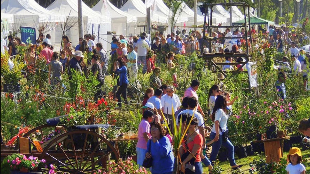 Cazón está a 150 kilómetros de la Ciudad de Buenos Aires y es ideal para visitarlo los fines de semana Cazón está a 150 kilómetros de la Ciudad de Buenos Aires y es ideal para visitarlo los fines de semana