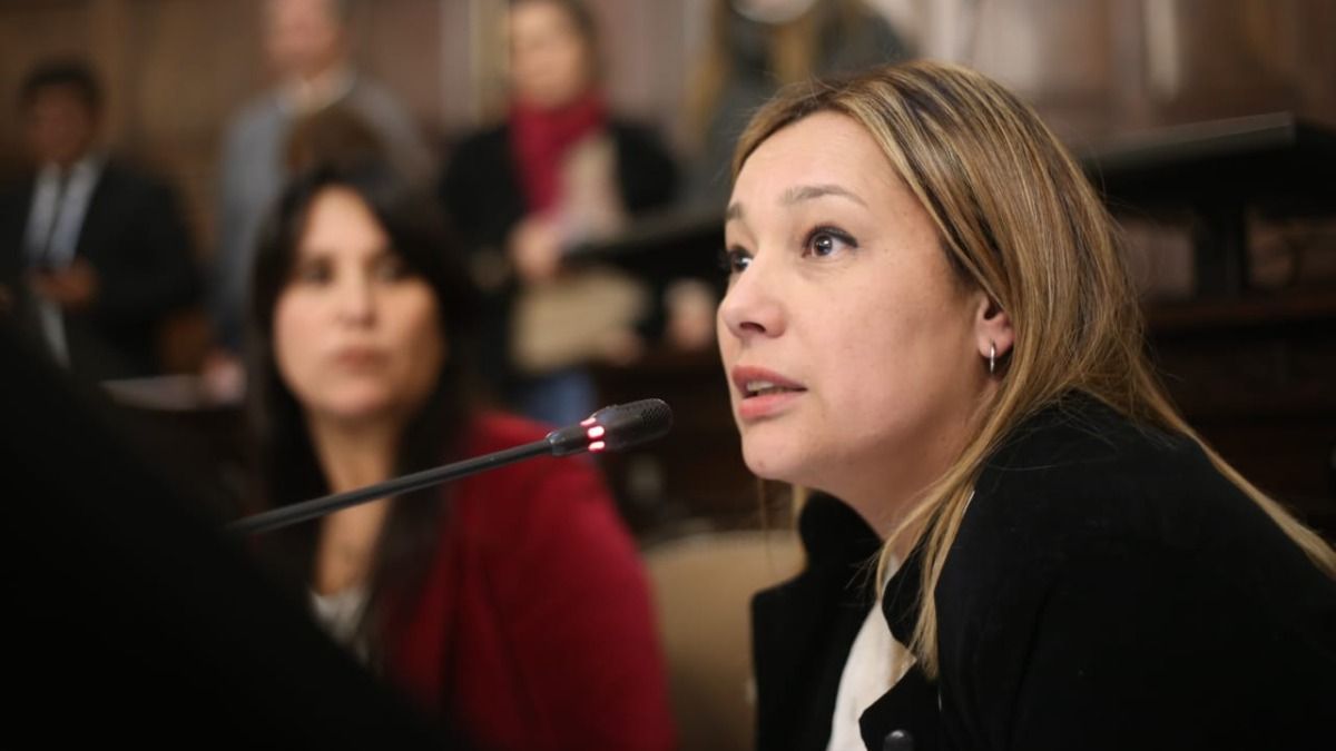 La senadora Adriana Cano (PJ) fue una de las promotoras de la norma