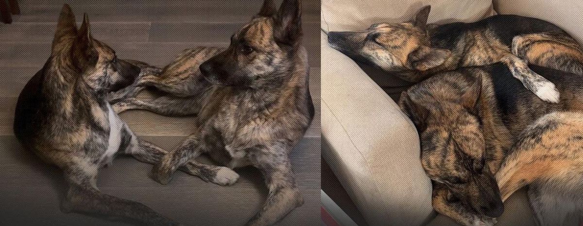 ¡Amor de hermanas! ¡Amor de hermanas!