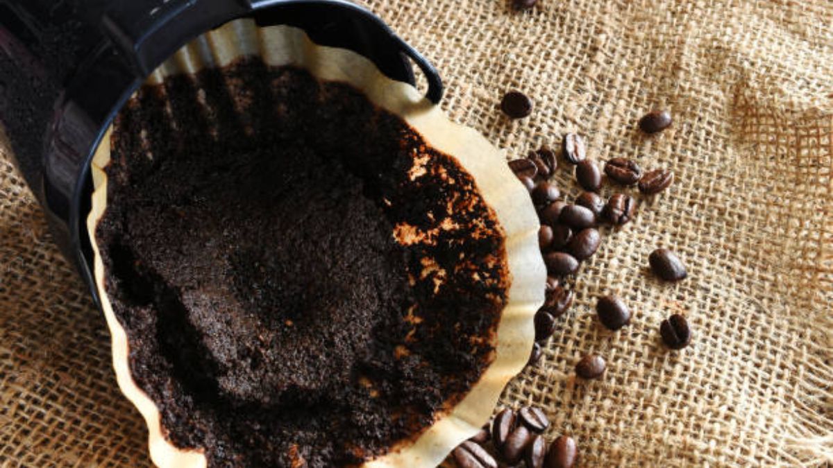 Reciclaje: no tirés los restos de café, guardalos y transformalos en estas maravillosas ideas para el hogar