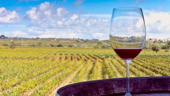 El semáforo regional de Coninagro arrojó un mapa productivo dividido entre mejoras y retrocesos El semáforo regional de Coninagro arrojó un mapa productivo dividido entre mejoras y retrocesos