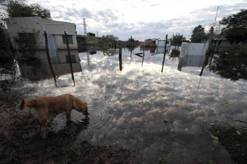 Las aguas del río Paraná comenzaron a descender a la altura del Chaco